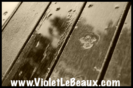 VioletLeBeauxP1010350_1175 copy